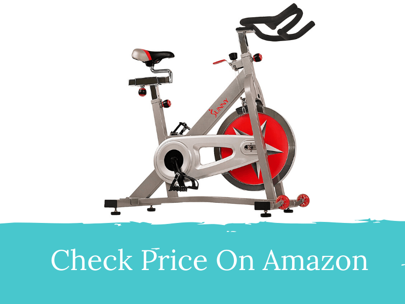 Sunny Health & Fitness Pro Indoor Cycling Bike