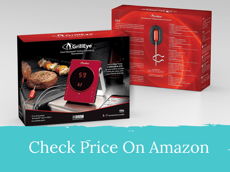 GrillEye GE0001 Thermometer